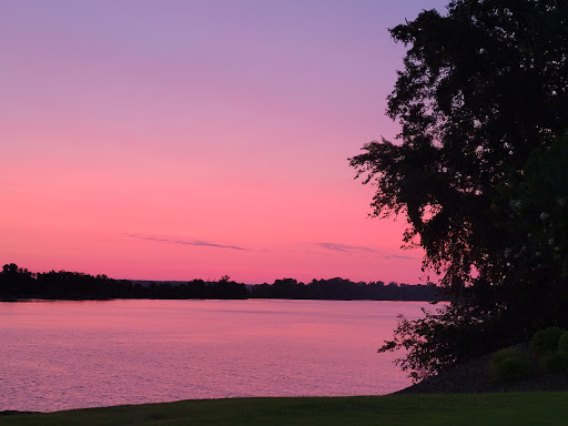 Pet Store «Big Heart Pet Brands», reviews and photos, 1200 Market St NE, Decatur, AL 35601, USA