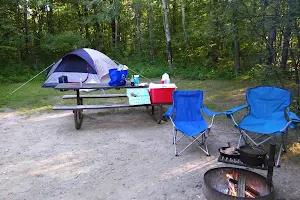 Birch Lakes State Forest and Campground Area image