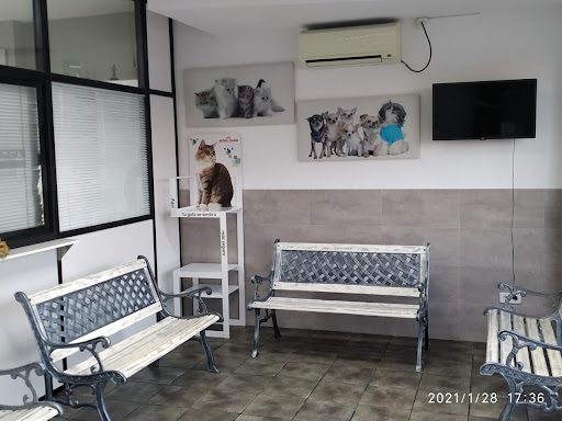 Clínica Cas Menescal en Marratxinet