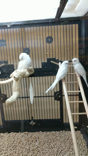 Pet Supply Store «PetSmart», reviews and photos, 156 Old Little Britain Rd, Newburgh, NY 12550, USA