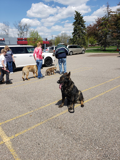 Pet Store «Feed Rite Pet Shop & Supply», reviews and photos, 11760 Belleville Rd, Belleville, MI 48111, USA