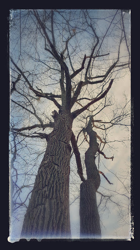 Nature Preserve «Wolf Rock Nature Preserve», reviews and photos, 251 Clover Mill Rd, Storrs, CT 06268, USA