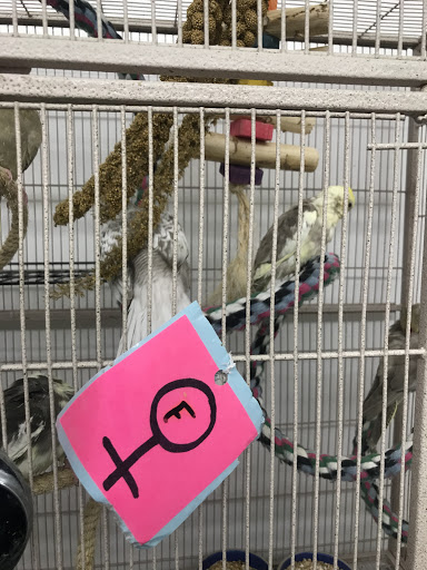 Pet Store «Birds & Beasts Pet Shop», reviews and photos, 35 Berkshire Dr # 18, Crystal Lake, IL 60014, USA