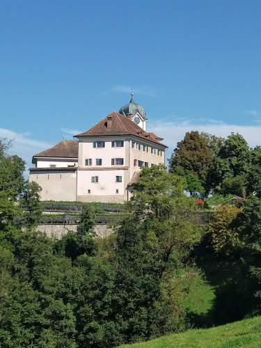 Schloss Grüningen