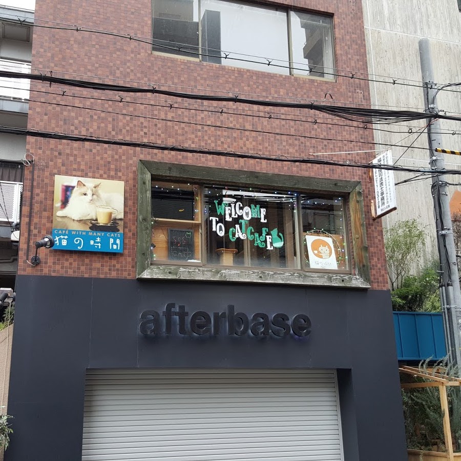 一人事務所を大阪で営む税理士のブログ | 大阪の梅田と心斎橋の猫カフェの年齢制限一覧