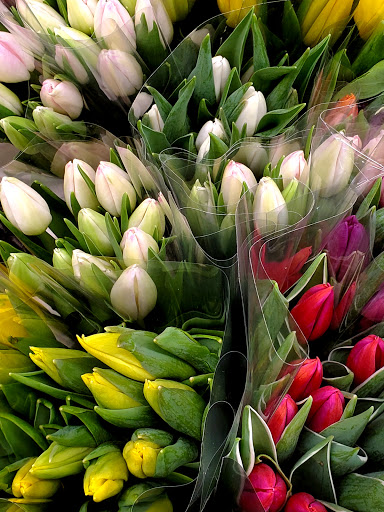 Florist «Hanover Floral Company», reviews and photos, 61 Ridgedale Ave, East Hanover, NJ 07936, USA