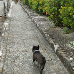 Photo n°17 de l'avis de carmela.m fait le 04/06/2023 à 11:04 sur le  Grand Hotel Telese à 09:00 - 17:00Telese