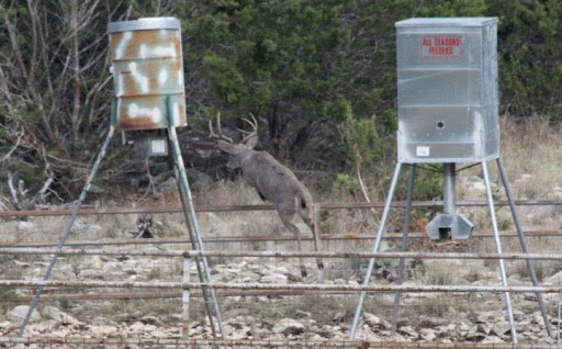 Manufacturer «All Seasons Feeders», reviews and photos, 8424 US Hwy 87 E, San Antonio, TX 78263, USA