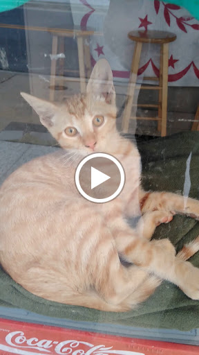 Live Music Venue «The Listening Room», reviews and photos, 78 St Francis St, Mobile, AL 36602, USA