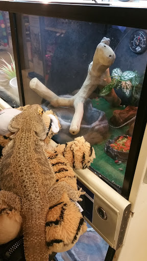 Pet Supply Store «PetSmart», reviews and photos, 2801 Pine Lake Rd, Lincoln, NE 68516, USA