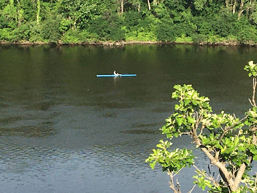 Park «Shadow Falls Park», reviews and photos, 30 N Mississippi River Blvd, St Paul, MN 55104, USA