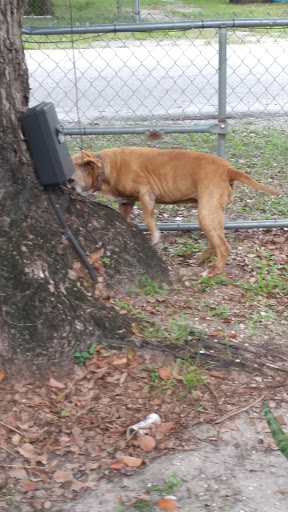 Off Track Betting Shop «Tampa Greyhound Track», reviews and photos, 8300 N Nebraska Ave, Tampa, FL 33604, USA