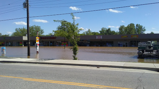 Discount Store «Dollar General», reviews and photos, 505 E Osage St, Pacific, MO 63069, USA
