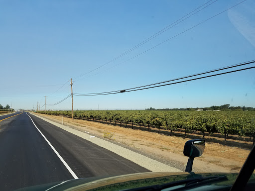 Winery «Van Ruiten Family Winery», reviews and photos, 340 W Hwy 12, Lodi, CA 95242, USA