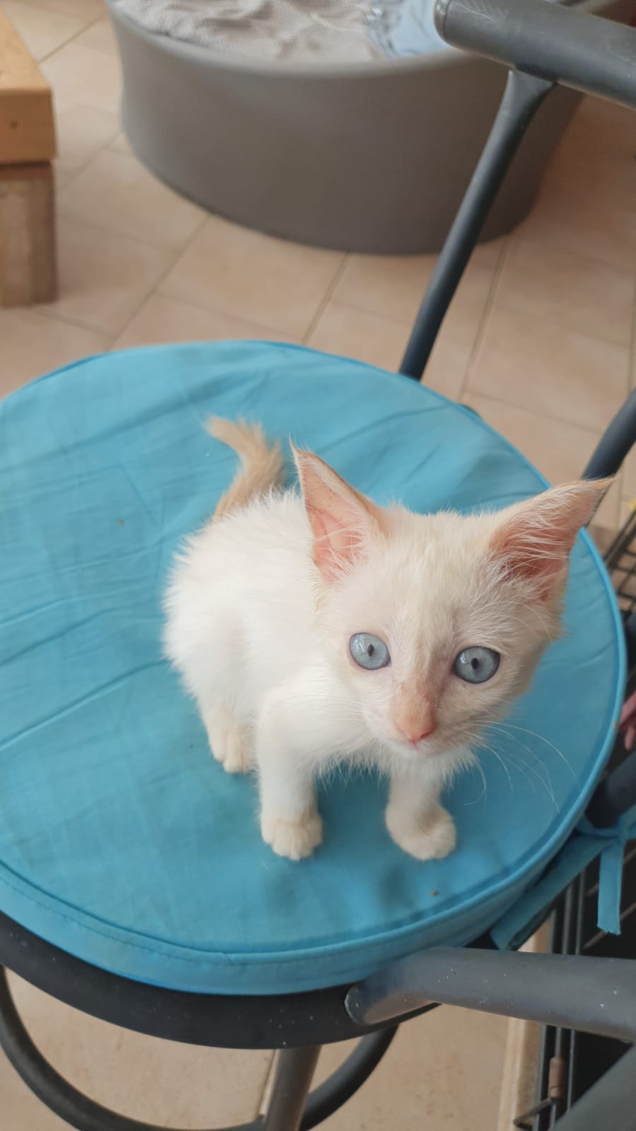Photo n° 10 de l'avis de Laurent.e fait le 09/09/2021 à 23:29