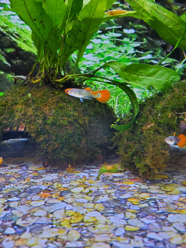 Pet Supply Store «Petco Animal Supplies», reviews and photos, 2140 E Blvd St, Kokomo, IN 46902, USA