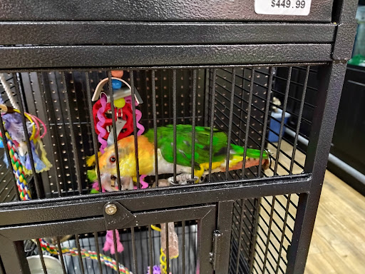 Pet Store «Petland», reviews and photos, 1514 Stonecreek Dr, Pickerington, OH 43147, USA