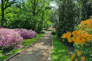 Rhododendron-Park Bremen image