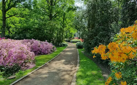 Rhododendron-Park Bremen image