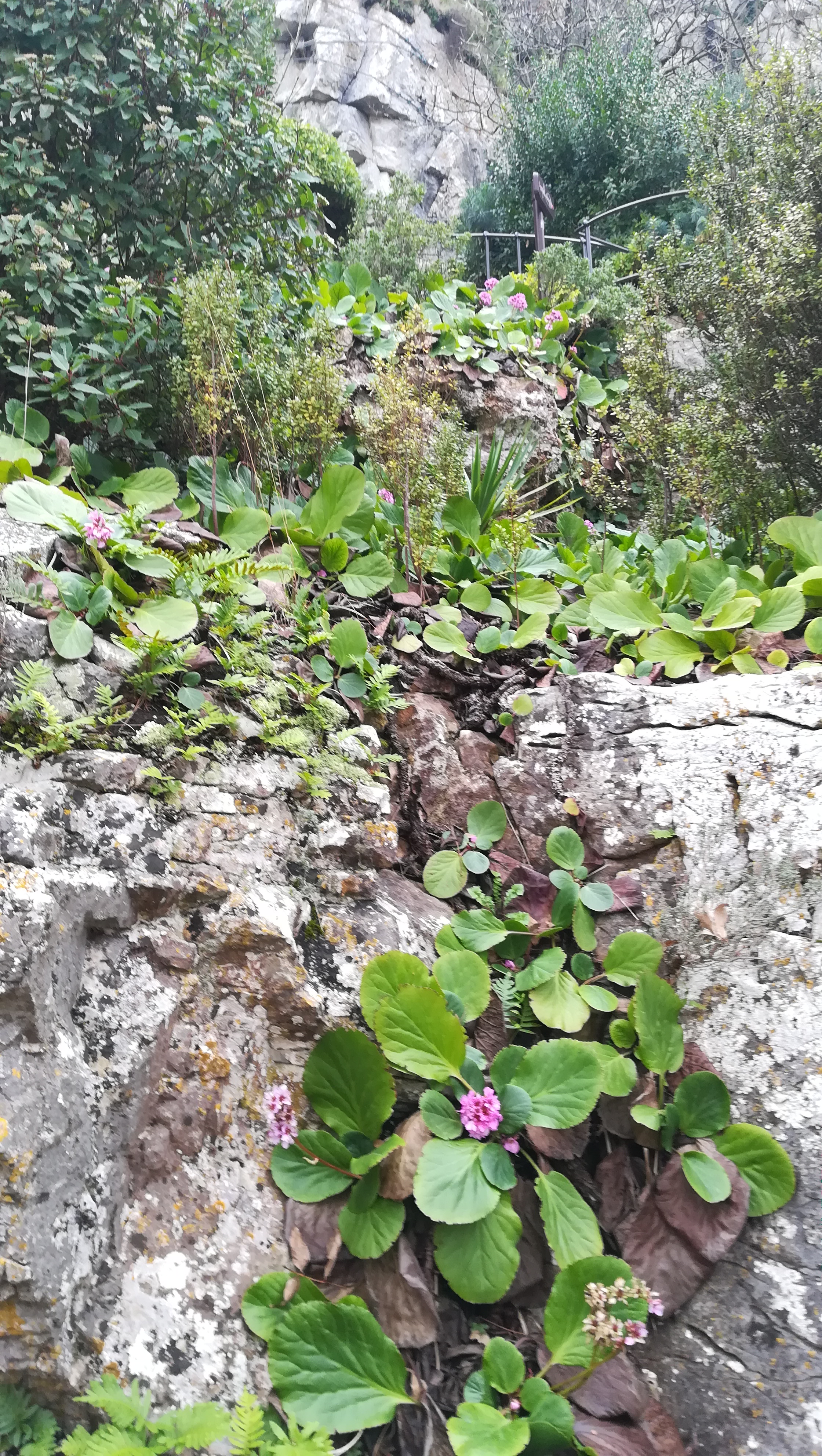 Photo n° 34 de l'avis de andre.a fait le 03/01/2022 à 16:41
