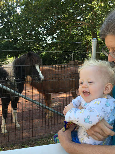 Zoo «Farm In The Zoo», reviews and photos, 1911 N Stockton Dr, Chicago, IL 60614, USA