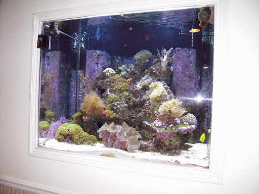 Tropical Fish Store «Cincinnati Aquarium Design», reviews and photos, 6475 E Galbraith Rd # B, Cincinnati, OH 45236, USA