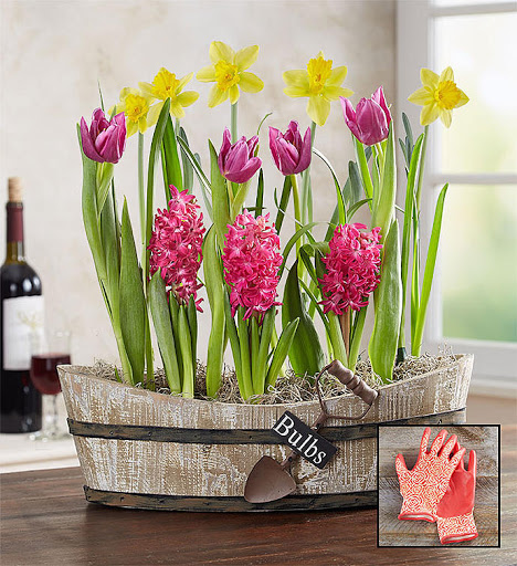 Florist «Green Grove Fruit and Flower», reviews and photos, 1439 Stuyvesant Ave, Union, NJ 07083, USA