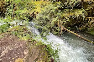 Goodman Creek Falls image