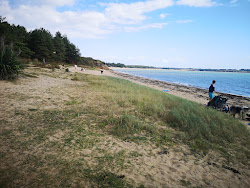 Plage Du Palandrin'in fotoğrafı imkanlar alanı