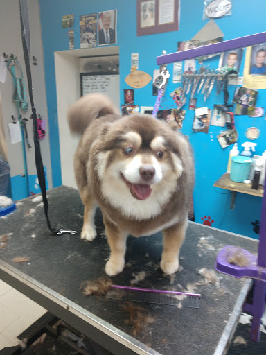 Pet Groomer «Affordable Family Pet Grooming», reviews and photos, 222 N Main St, Fond du Lac, WI 54935, USA