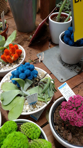 Home Improvement Store «The Home Depot», reviews and photos, 779 Washington St, Auburn, MA 01501, USA