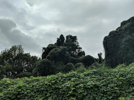 Park «Lee Victory Recreation Park», reviews and photos, 110 Sam Ridley Pkwy E, Smyrna, TN 37167, USA