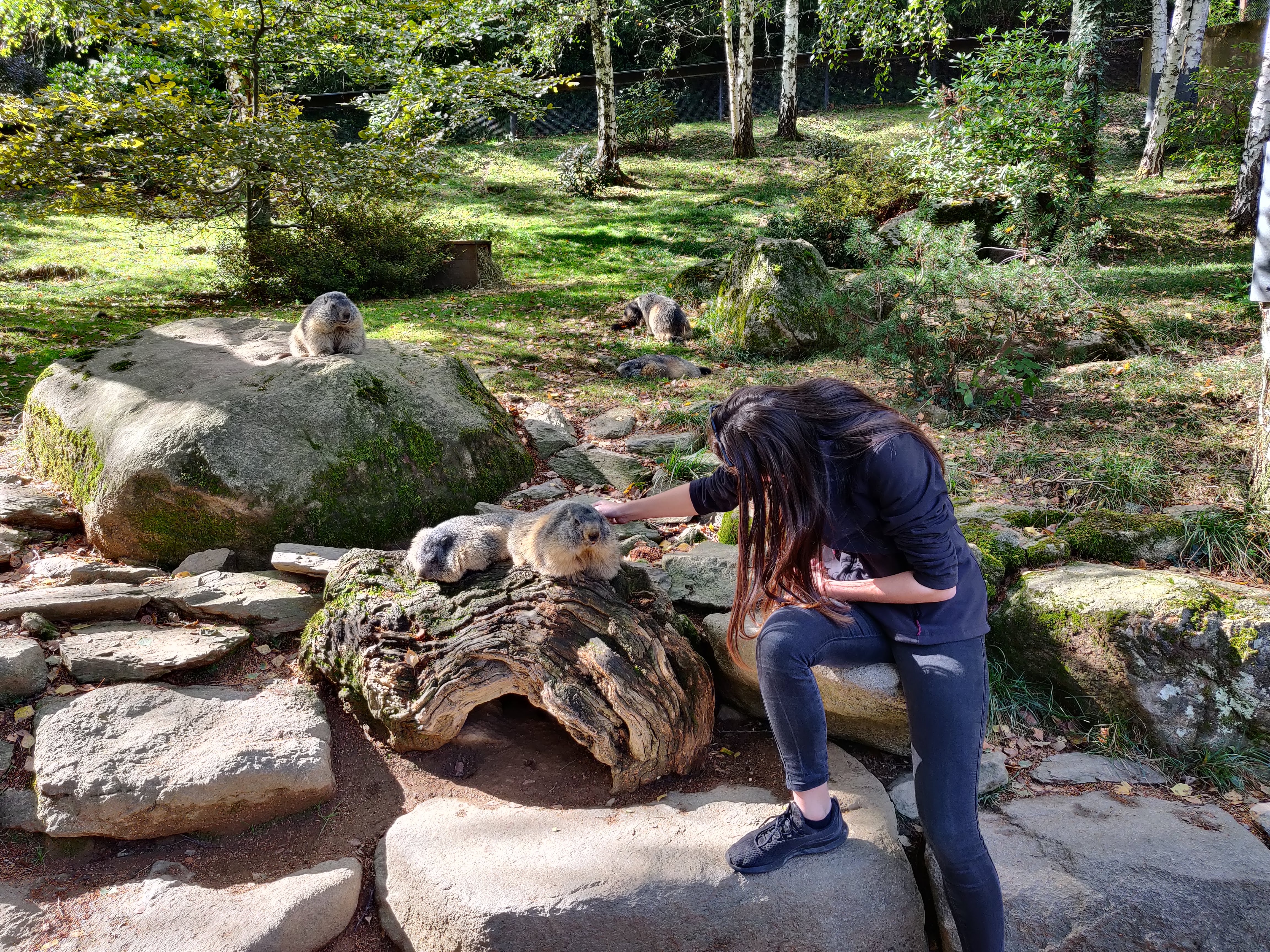 Photo n° 2 de l'avis de Kelly.e fait le 06/10/2020 à 20:25