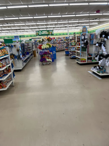 Dollar Store «Dollar Tree», reviews and photos, 2305 Colorado Blvd, Denton, TX 76205, USA