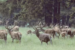 Wildpark Neuhaus image