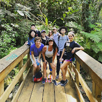 Tours2 Puerto Rico - Photo 3 - Car repair in Carolina, Puerto Rico, San Juan