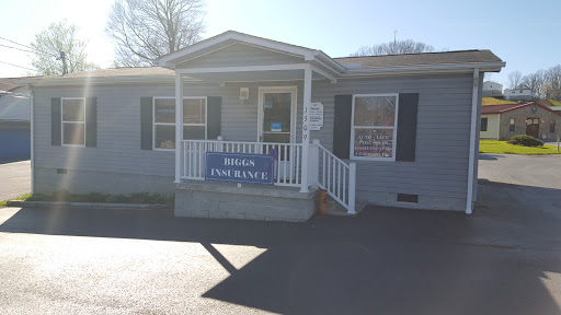 Biggs Insurance Agency, Inc., 1509 Main St E, Oak Hill, WV 25901, Insurance Agency