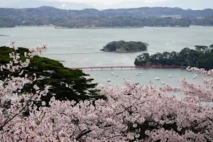 Saigyo Modoshi no Matsu Park image