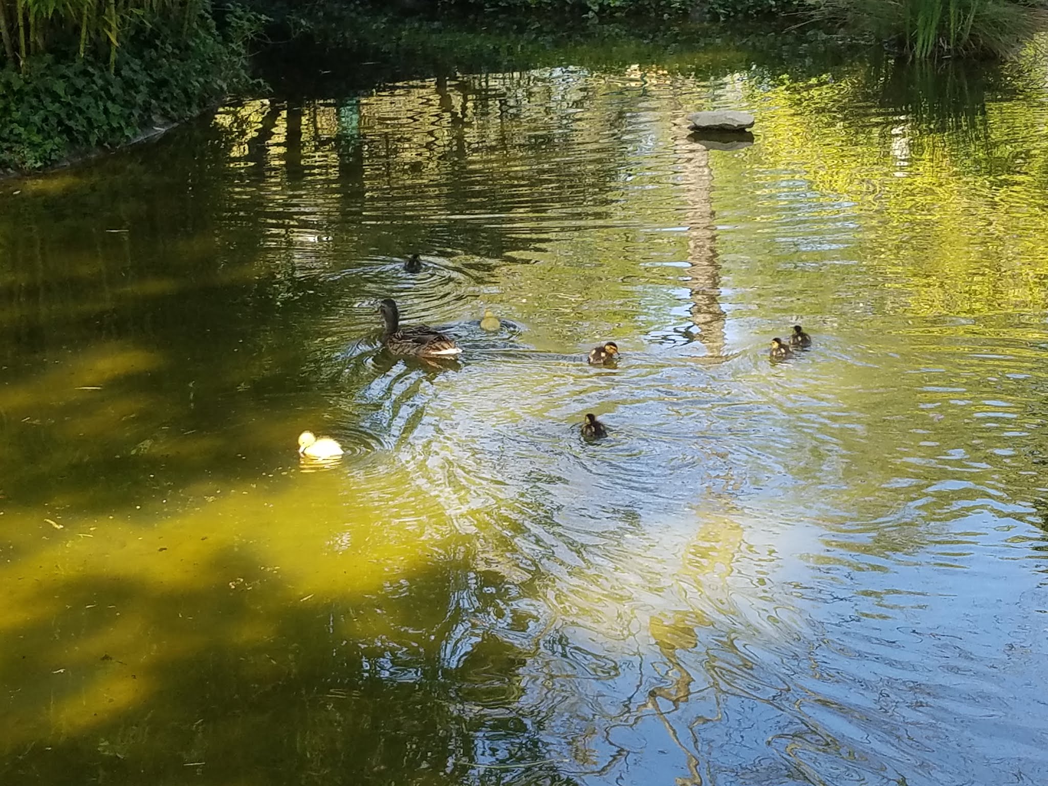 Photo n° 13 de l'avis de Elo.i fait le 14/09/2019 à 15:15