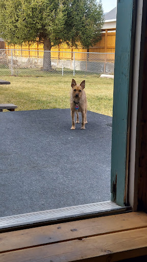 Okanogan Valley Pet Resort