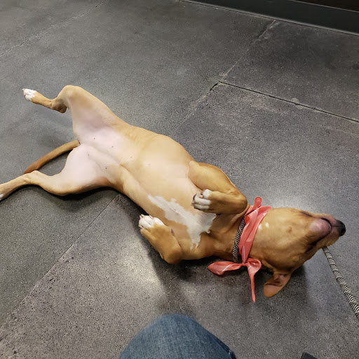 Pet Store «PetSmart», reviews and photos, 14903 4th Ave SW Ste 200, Burien, WA 98166, USA