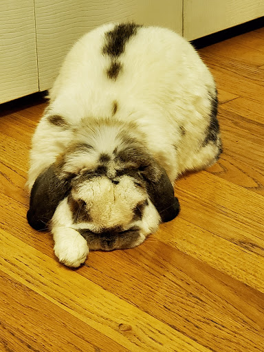 10412 S Illinois Rte 31 # 1, Algonquin, IL 60102, USA