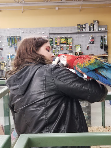 Pet Store «Petland Plano», reviews and photos, 1301 Custer Rd #405, Plano, TX 75075, USA