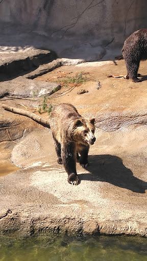 Zoo «Cleveland Metroparks Zoo», reviews and photos, 3900 Wildlife Way, Cleveland, OH 44109, USA