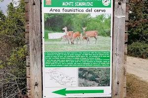 Area Faunistica del Cervo image