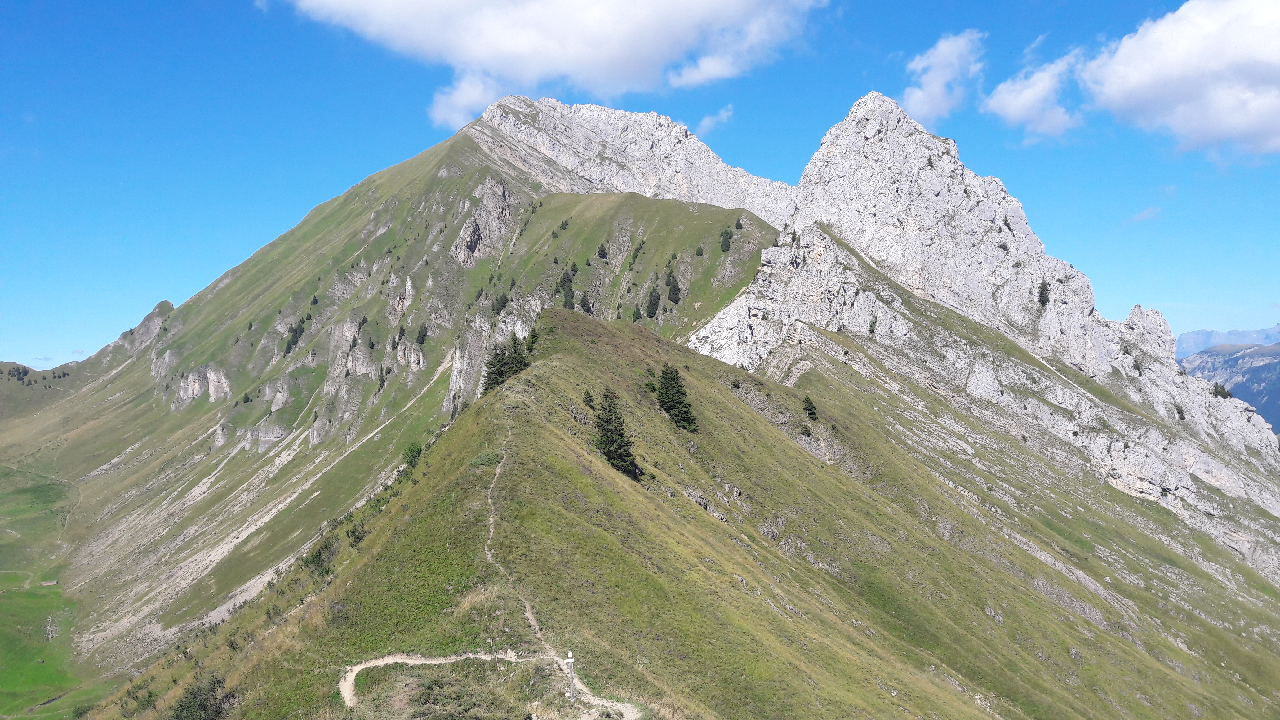 Photo n° 2 de l'avis de Patrice.a fait le 25/08/2017 à 03:51