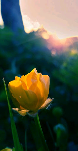 Tobacco Shop «Seatac Smoke Shop», reviews and photos, 19045 International Blvd, SeaTac, WA 98188, USA