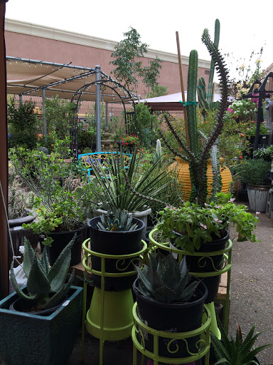 Hardware Store «Desert Foothills Ace Hardware», reviews and photos, 1335 E Chandler Blvd, Phoenix, AZ 85048, USA