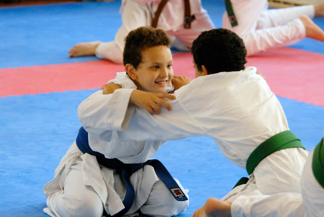 Telefonnummer for Copenhagen Budo Academy - Karate på Nørrebro