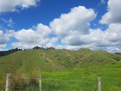 Mt Auckland